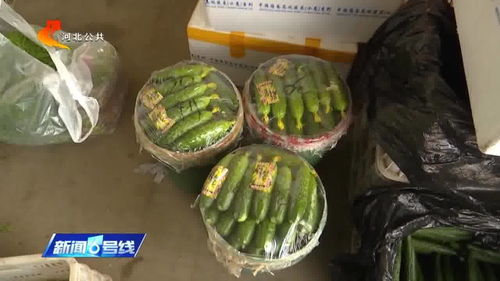 涿州農產品市場貨源穩(wěn)定供應充足