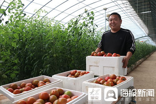 用地標性農產品打造莘縣高端精致農業(yè)名片
