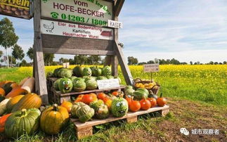 鄉(xiāng)村旅游農產品創(chuàng)意升級之路