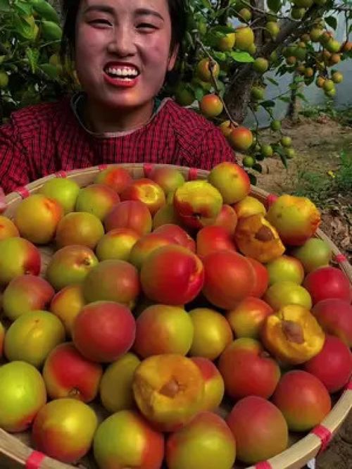 優(yōu)質農產品的價值與未來發(fā)展路徑