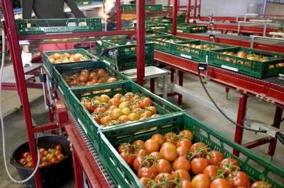 探索建設(shè)現(xiàn)代化農(nóng)產(chǎn)品市場物流體系，打通農(nóng)產(chǎn)品上行之路