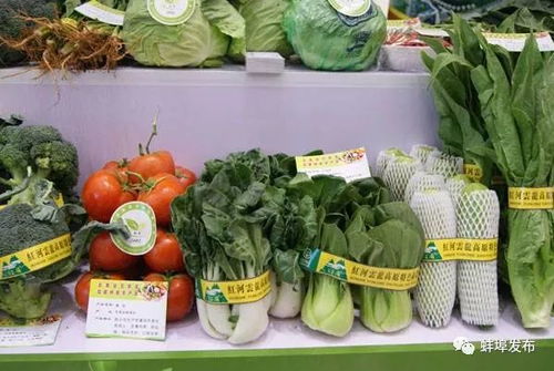 蚌埠風味，香飄全國 盤點那些讓人欲罷不能的本土美食